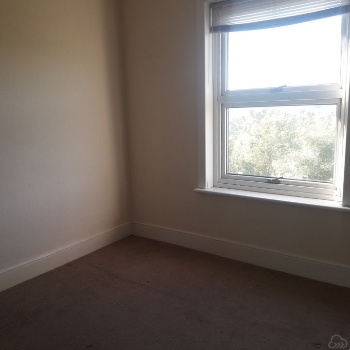 Gallery 7