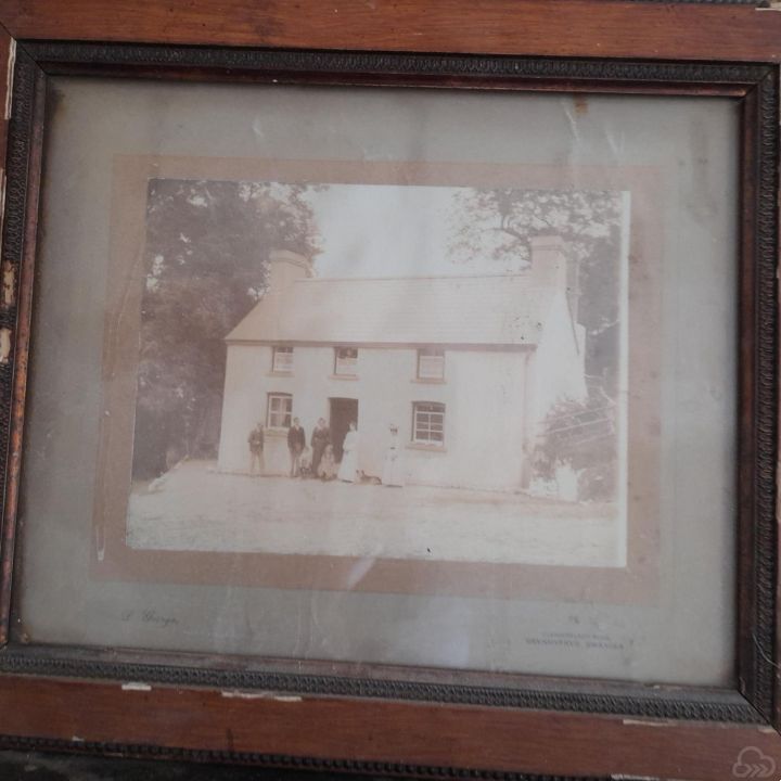 Gallery 29