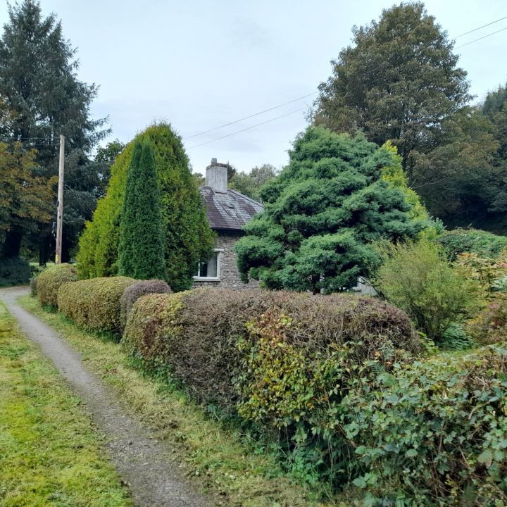 Gallery 2