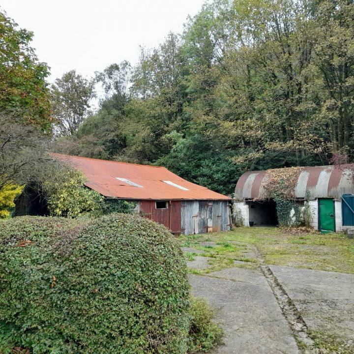 Gallery 4