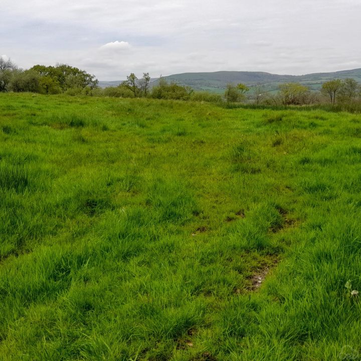 Coldbrook Field