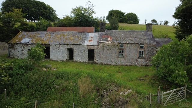 Gallery 5