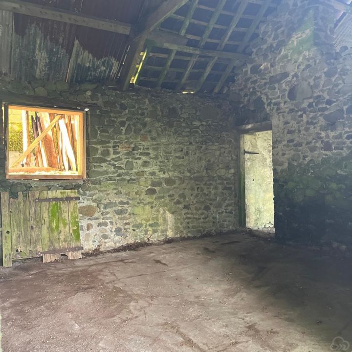 Gallery 6